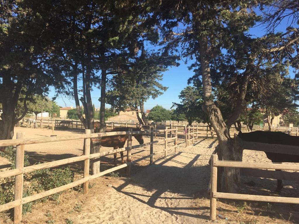 Willa Cabanon Du Pecheur, Parc National Des Calanques Marsylia Zewnętrze zdjęcie